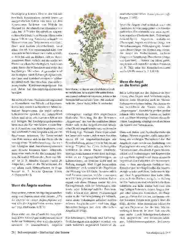 Vorschauseite 3: Sonnendoping für die Seele