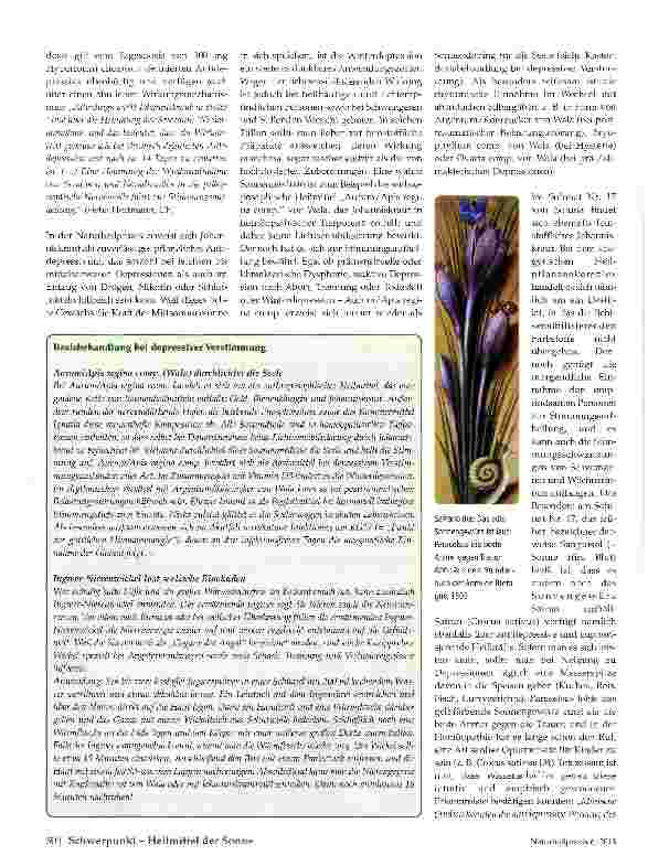 Vorschauseite 5: Sonnendoping für die Seele