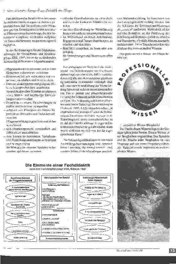 Vorschauseite 2: 1. Internationaler Kongreß zur Didaktik der Pflege Aarau/Schweiz Von den Quellen zu den Schlüsseln des Pflegewissens