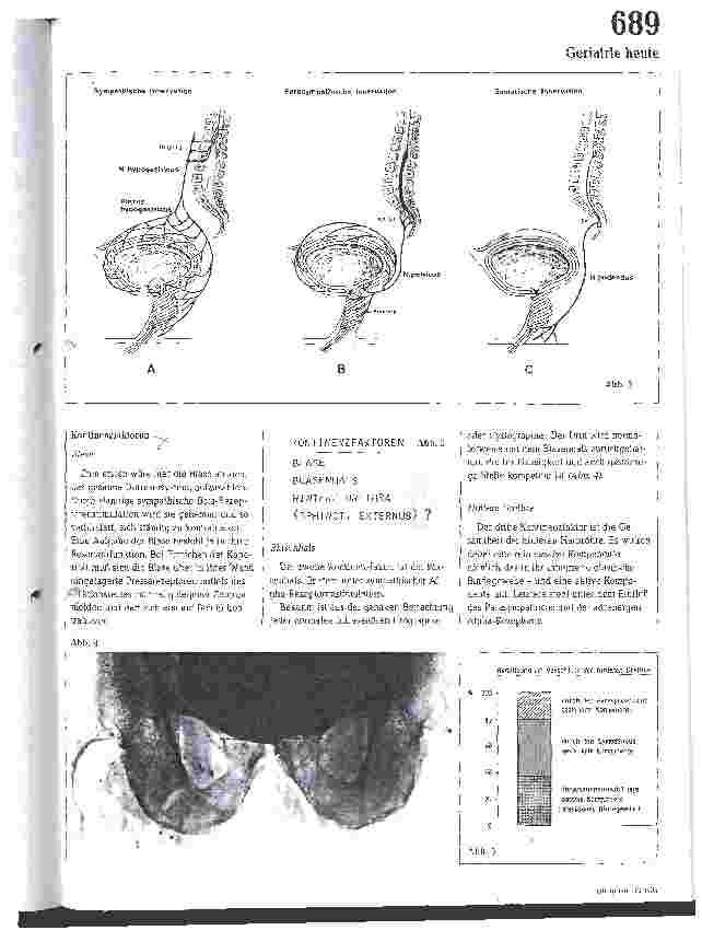 Vorschauseite 2: Pathophysiologische Grundlagen