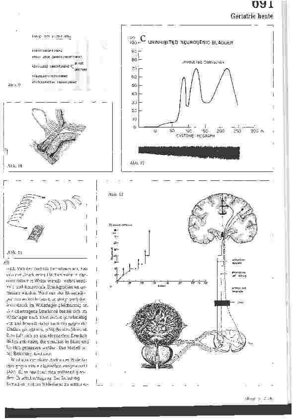 Vorschauseite 4: Pathophysiologische Grundlagen