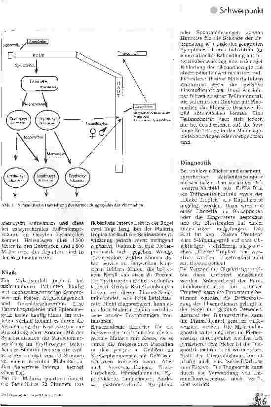 Vorschauseite 2: Malaria Epidemiologie, Pathogenese, Klinik, Diagnostik, Therapie und Prophylaxe