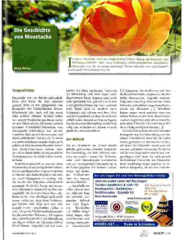 Vorschauseite 1: Die Geschichte von Moustache