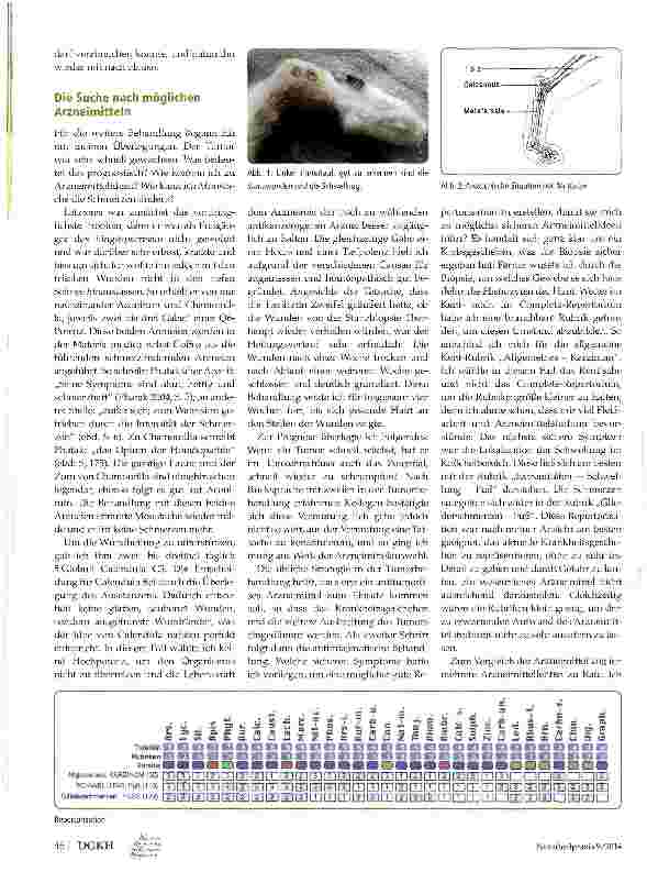 Vorschauseite 2: Die Geschichte von Moustache