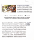 Vorschauseite 1: Kollaps beim sozialen Wohnen befürchtet