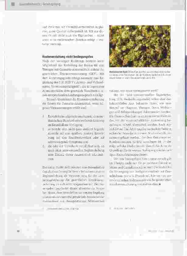 Vorschauseite 3: Cannabis auf Rezept