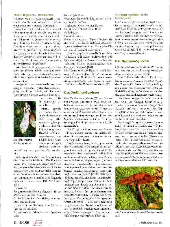 Vorschauseite 4: (Gift-)Pilze in der Homöopathie Teil 2