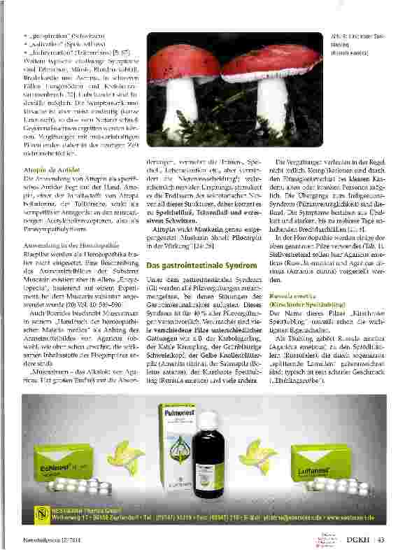 Vorschauseite 5: (Gift-)Pilze in der Homöopathie Teil 2