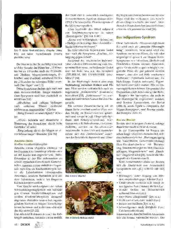 Vorschauseite 6: (Gift-)Pilze in der Homöopathie Teil 2