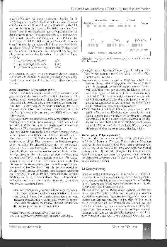 Vorschauseite 3: Bedeutung der Genetik für die Anästhesiologie (CME 7/8/04)