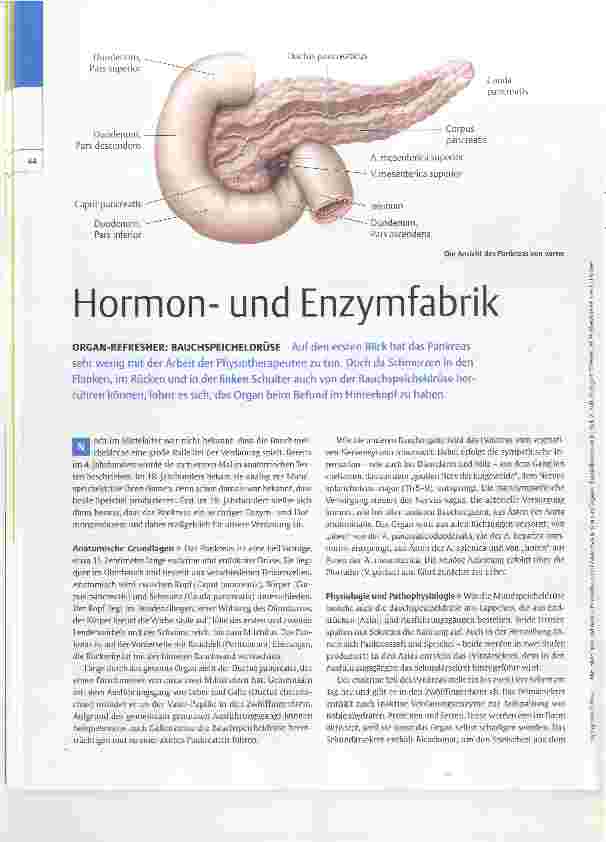 Vorschauseite 1: Hormonund Enzymfabrik