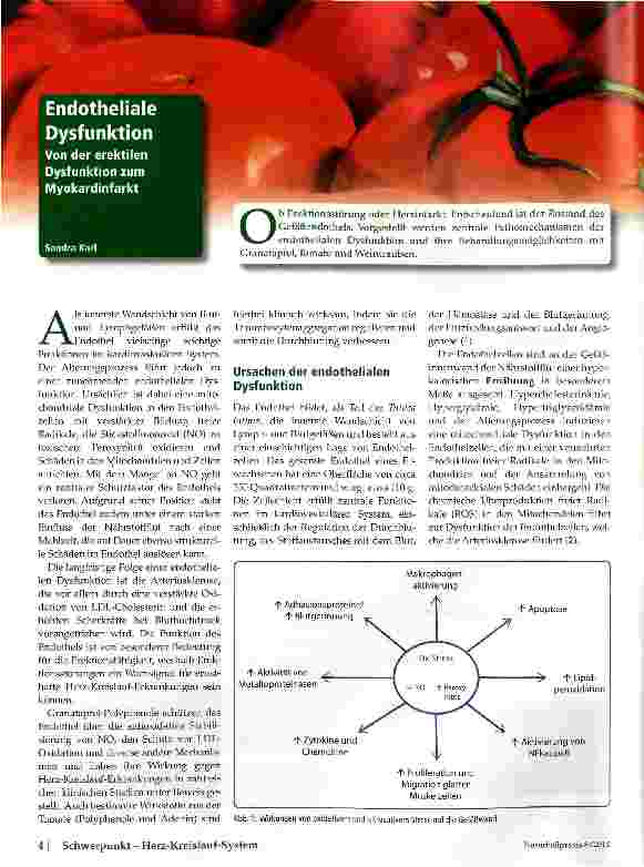 Vorschauseite 1: Endotheliale Dysfunktion