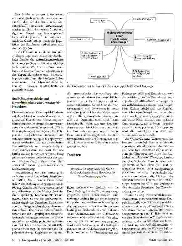 Vorschauseite 5: Endotheliale Dysfunktion