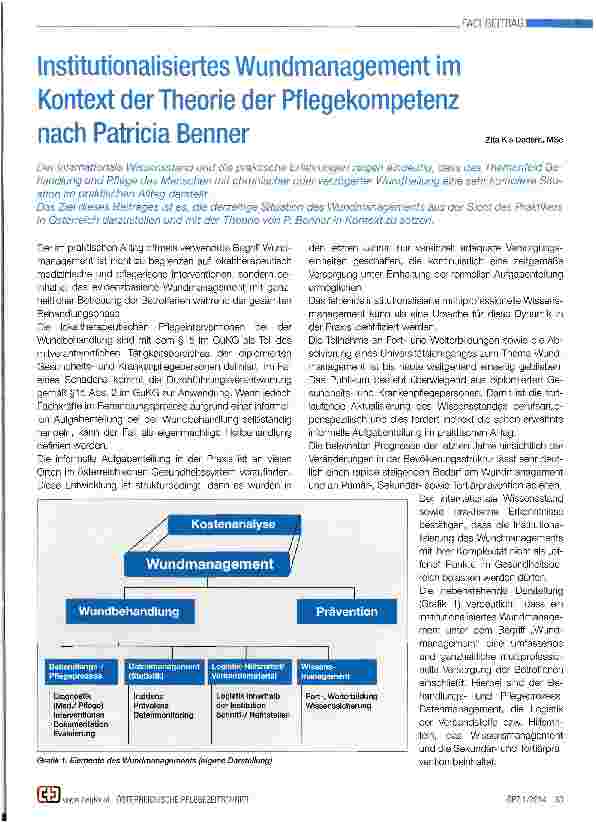 Vorschauseite 1: Institutionalisiertes Wundmanagement im Kontext der Theorie der Pflegekompetenz nach Patricia Benner