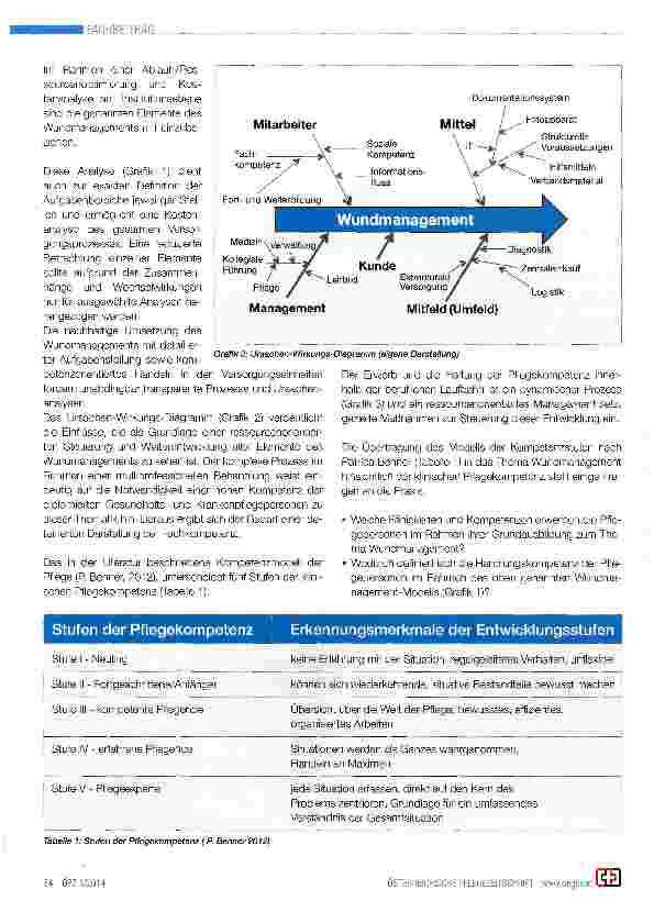 Vorschauseite 2: Institutionalisiertes Wundmanagement im Kontext der Theorie der Pflegekompetenz nach Patricia Benner