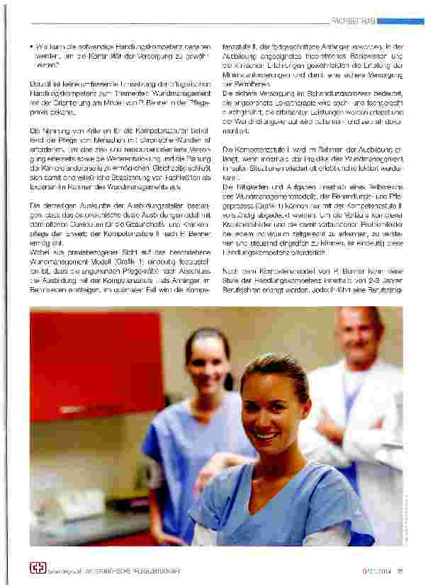 Vorschauseite 3: Institutionalisiertes Wundmanagement im Kontext der Theorie der Pflegekompetenz nach Patricia Benner