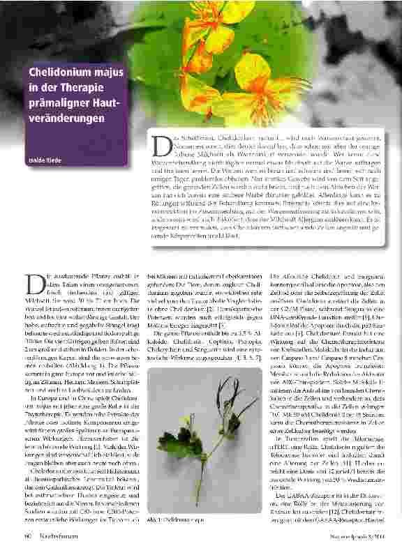 Vorschauseite 1: Chelidonium majus in der Therapie prämaligner Hautveränderungen
