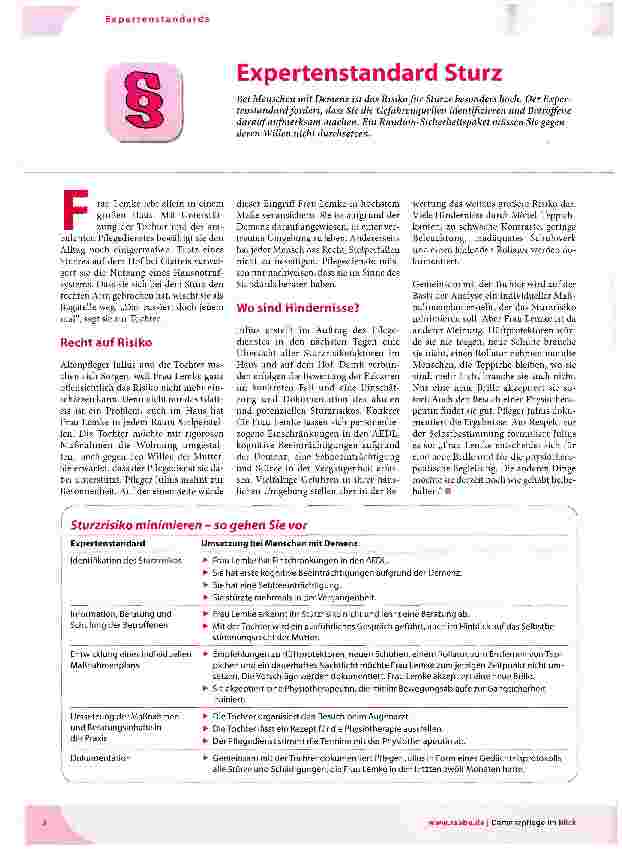 Vorschauseite 1: Expertenstandard Sturz