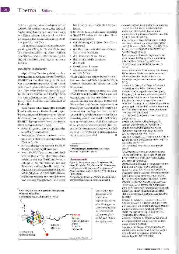 Vorschauseite 5: Allheilund Wundermittel