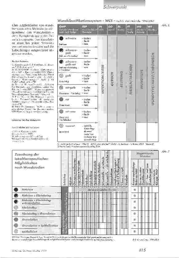 Vorschauseite 5: Prinzipien der feuchten WundbehandlungModernes Wundmanagement