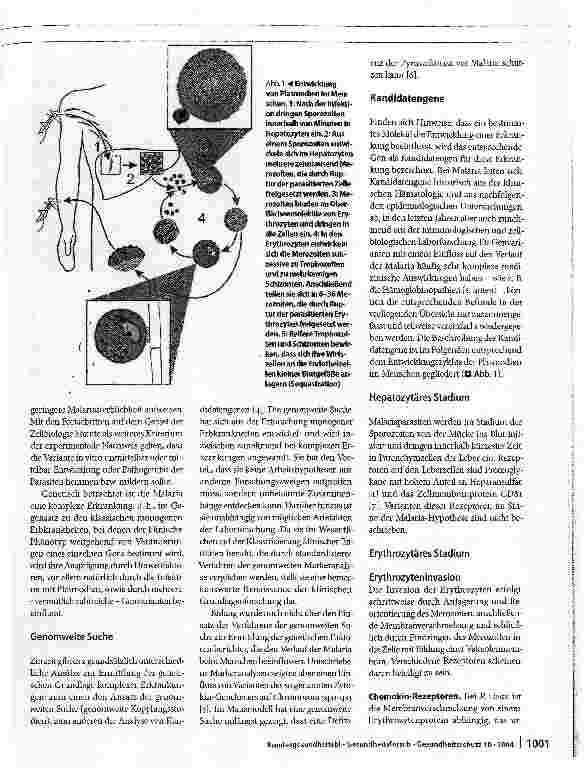 Vorschauseite 2: Einfluss genetischer Varianten des Menschen auf Resistenz und Immunität gegen Malaria