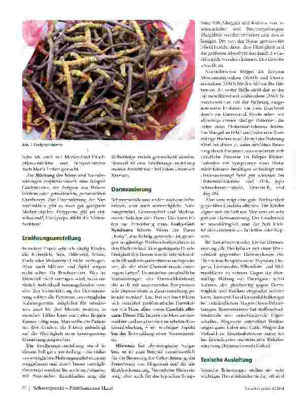 Vorschauseite 3: Neurodermitis