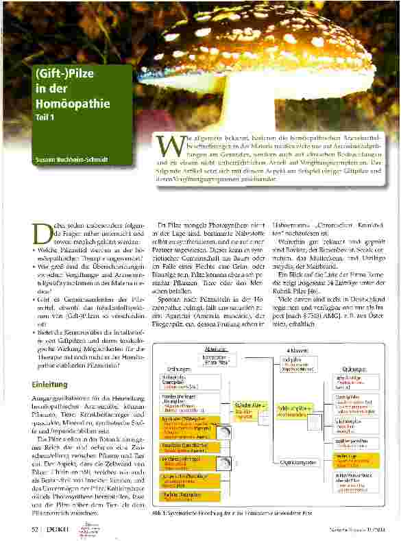 Vorschauseite 1: (Gift-)Pilze in der Homöopathie