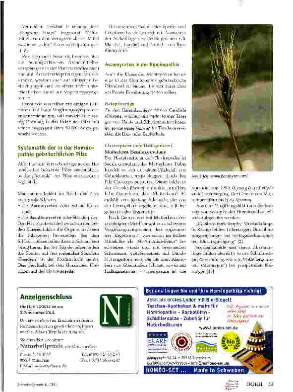 Vorschauseite 2: (Gift-)Pilze in der Homöopathie