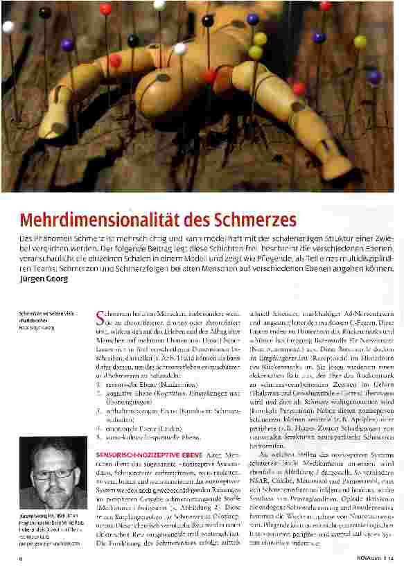 Vorschauseite 1: Mehrdimensionalität des Schmerzes