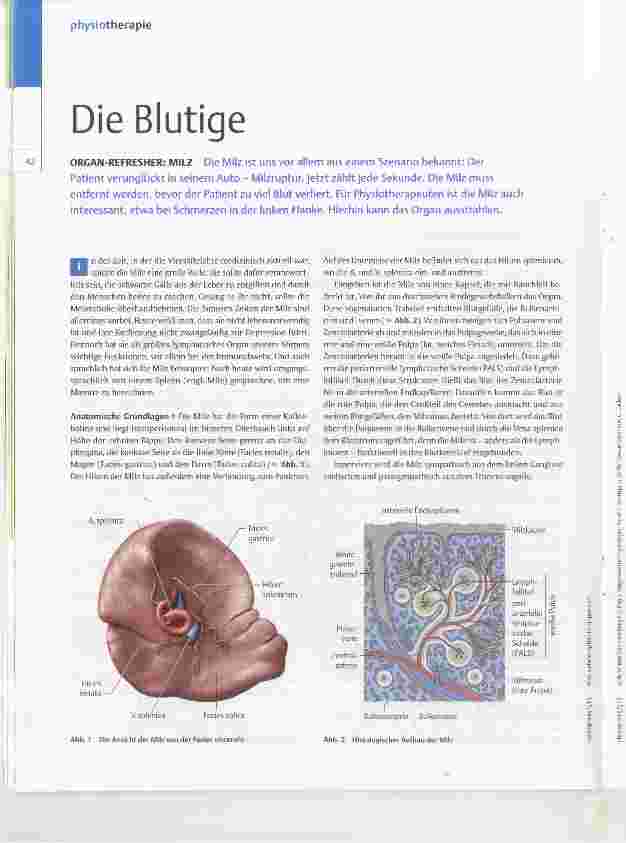 Vorschauseite 1: Die Blutige