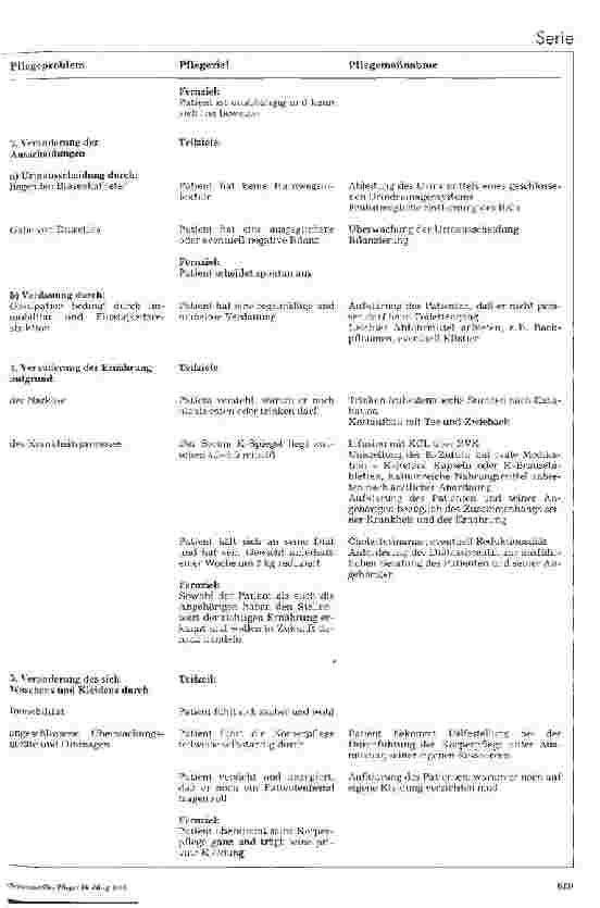 Vorschauseite 3: Standardpflegeplan zur postoperativen Pflege von Patienten mit Aorto-Coronarem Venenbypass nach der Übernahme von der Intensivstation