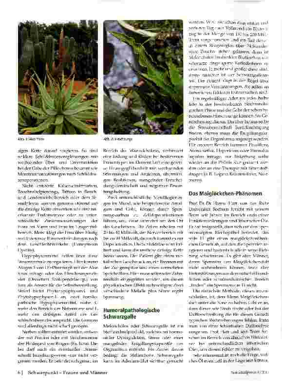Vorschauseite 3: Kinderlosigkeit