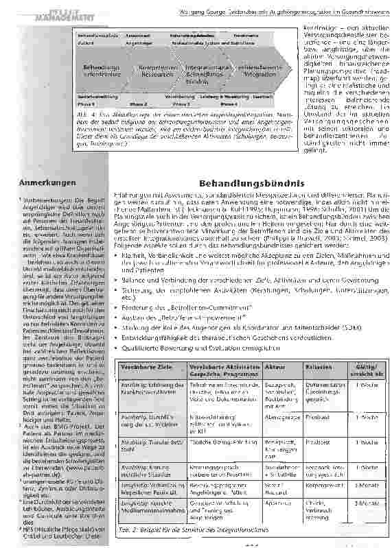 Vorschauseite 6: Evidenzbasierte Angehörigenintegrationim Gesundheitswesen