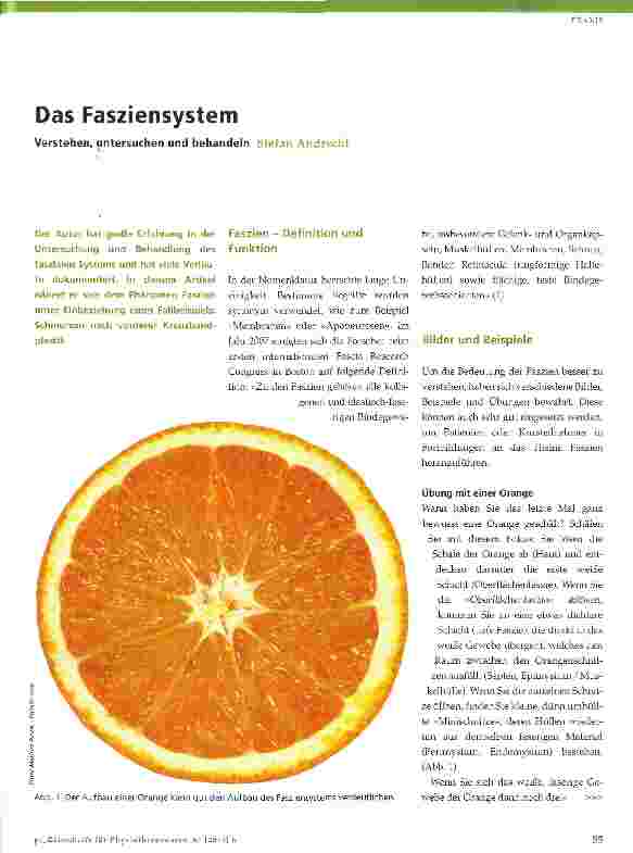 Vorschauseite 1: Das Fasziensystem