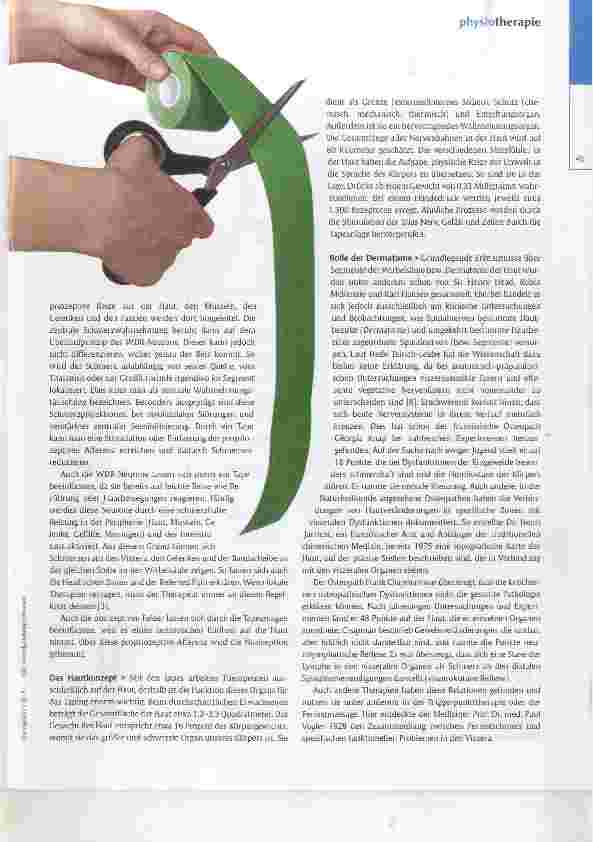 Vorschauseite 2: Bunte Streifen erobern das Organsystem