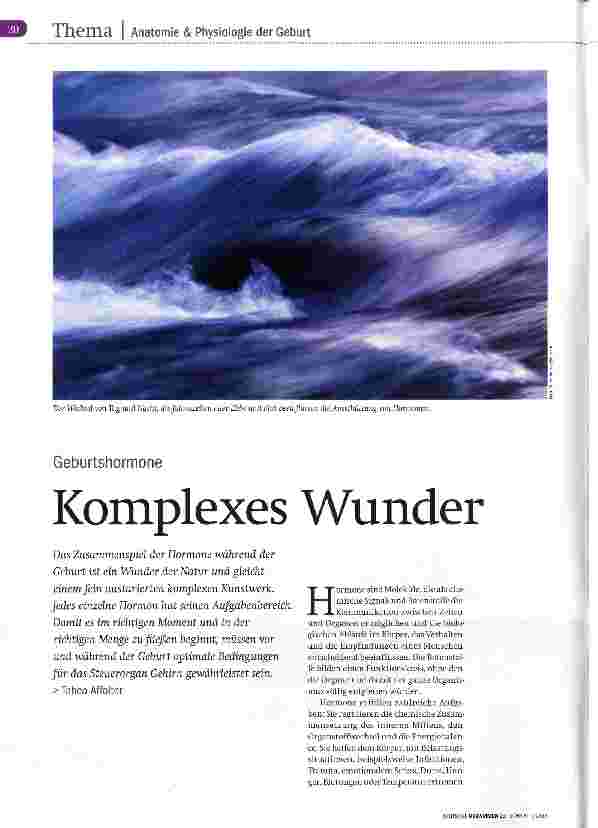Vorschauseite 1: Komplexes Wunder