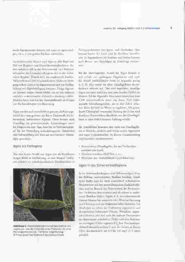 Vorschauseite 2: Algen - Newcomer in der Humanhygiene?