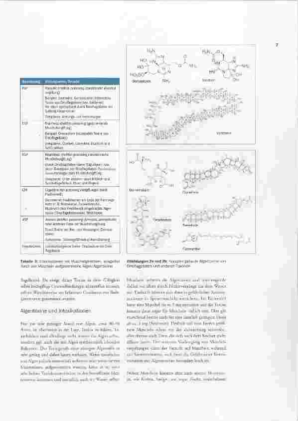 Vorschauseite 4: Algen - Newcomer in der Humanhygiene?