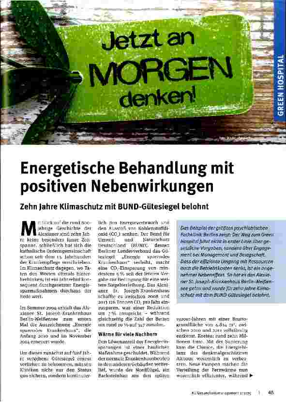 Vorschauseite 1: Energetische Behandlung mit positiven Nebenwirkungen