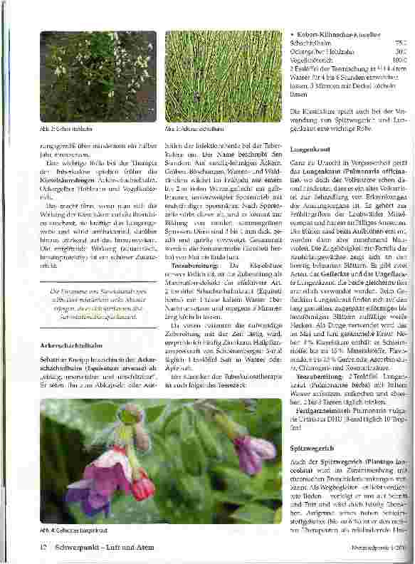 Vorschauseite 3: Chronischer Husten