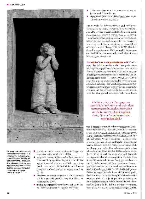 Vorschauseite 2: Schmerz - ein Schrei nach Sicherheit?
