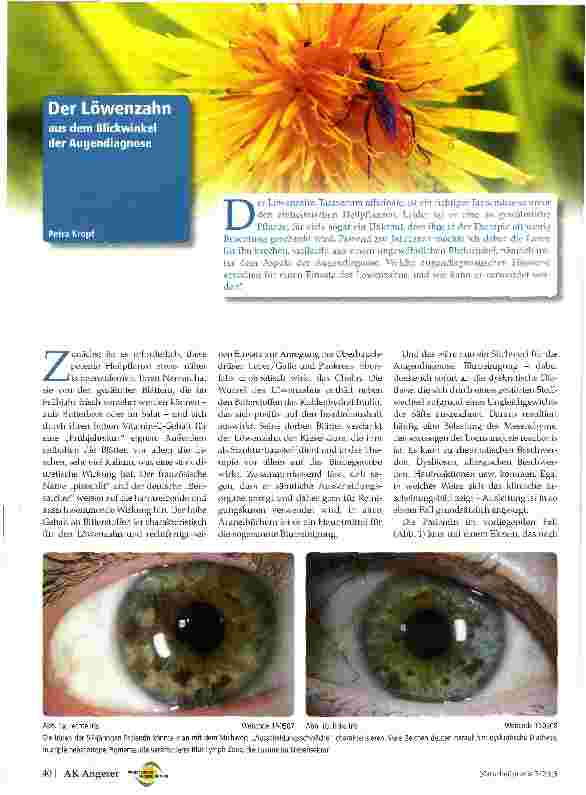 Vorschauseite 1: Der Löwenzahn