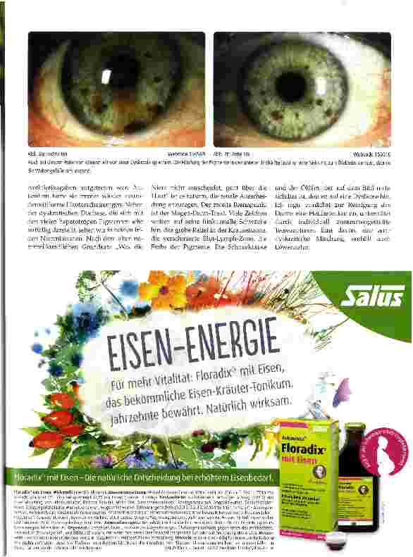 Vorschauseite 2: Der Löwenzahn