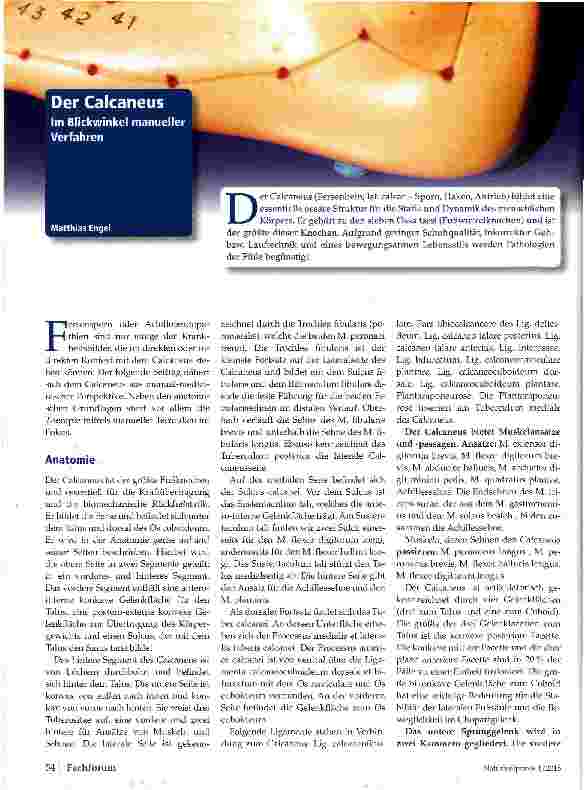 Vorschauseite 1: Der Calcaneus Im Blickwinkel manueller Verfahren