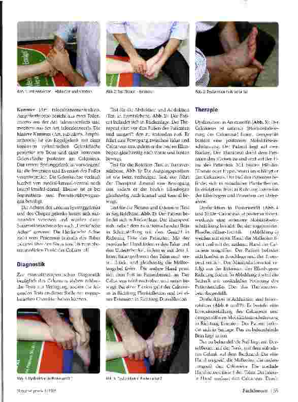 Vorschauseite 2: Der Calcaneus Im Blickwinkel manueller Verfahren