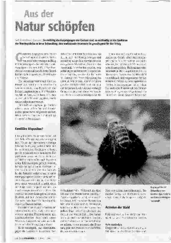 Vorschauseite 1: Aus der Natur schöpfen