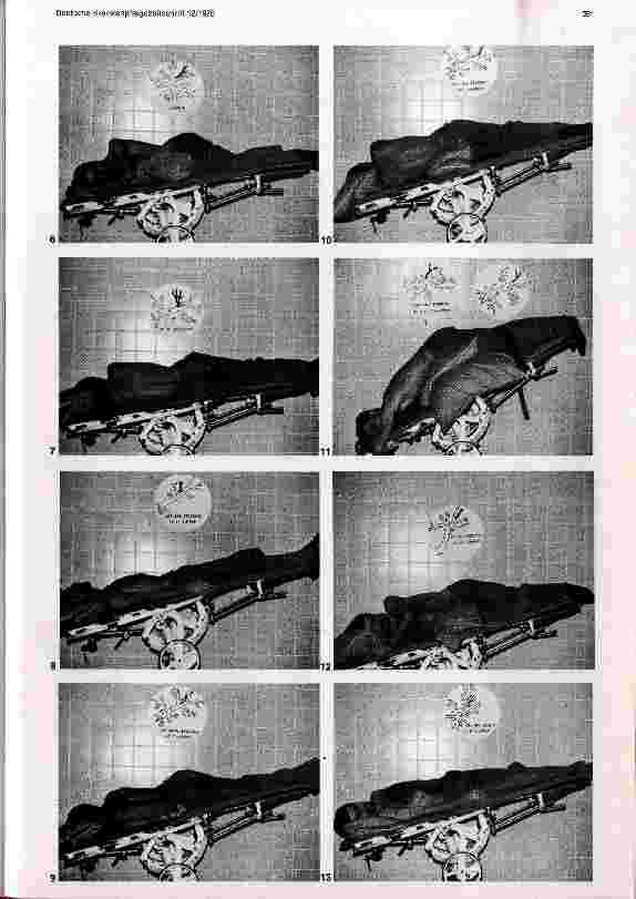 Vorschauseite 4: Die Behandlung der Lunge durch Bronchialdrainage