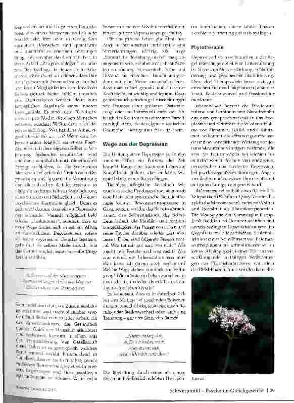 Vorschauseite 2: Depression