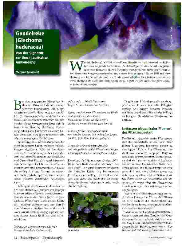 Vorschauseite 1: Gundelrebe Von der Signatur zur therapeutischen Anwendung