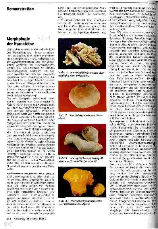 Vorschauseite 1: Morphologie der Harnsteine